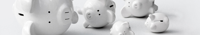 debt and credit management